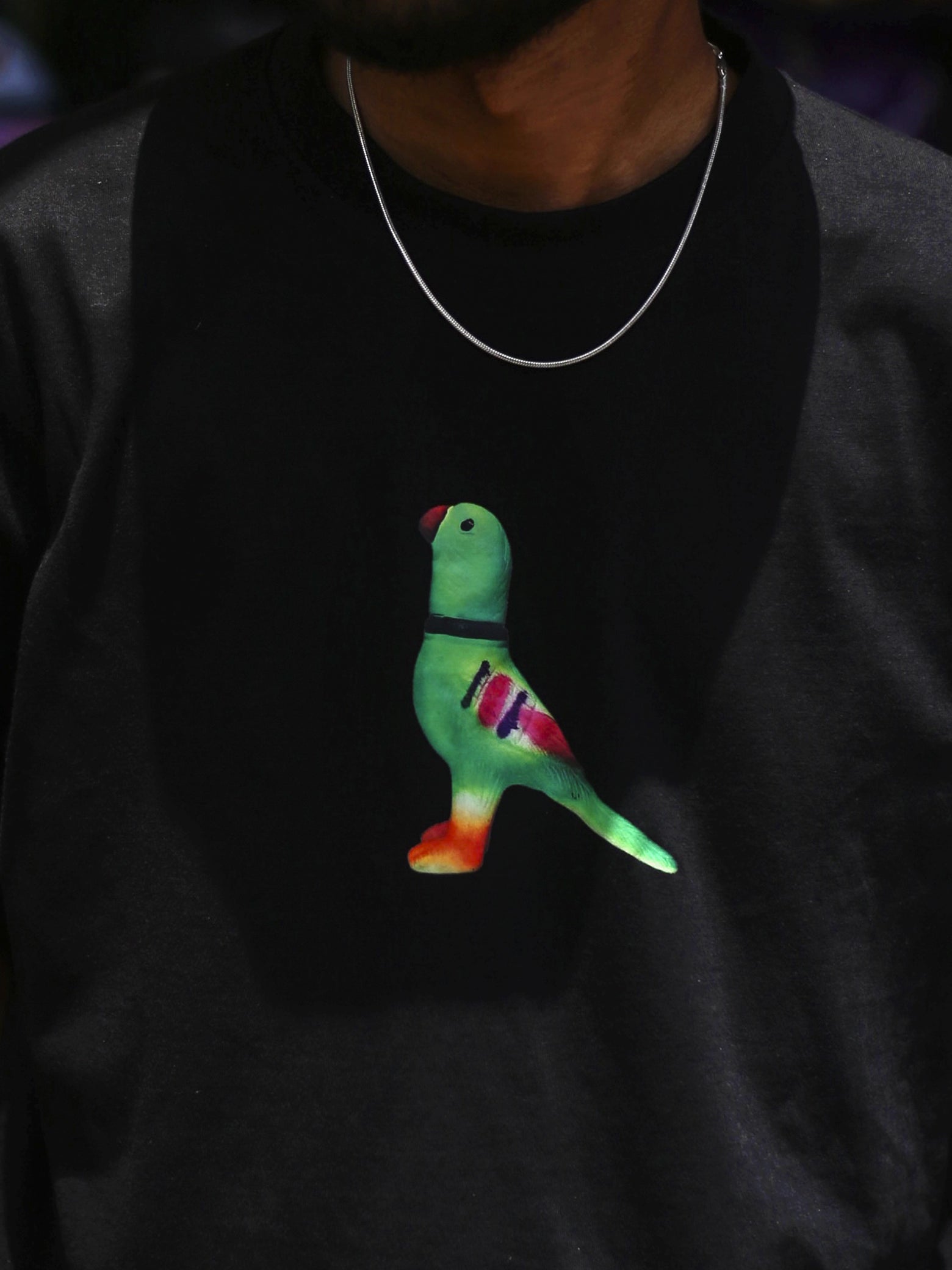 Buy  Parrot Memories Oversized  Drop-Shoulder T-Shirt